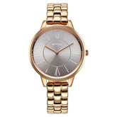 Titan Men's Analog Watch Silver Dial With Golden Stainless Steel Mesh Band , 1849WM01